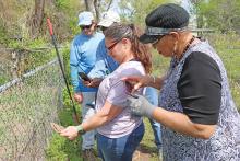 (THOMAS WALLNER | THE GRAHAM LEADER) Dr. Tamra L Walter (center), Vanessa Sims (right) and others gather around to see a grave marker that was discovered outside of the fence line Saturday, March 24 at the Oak Grove Colored-William P. Johnston Memorial Cemetery.