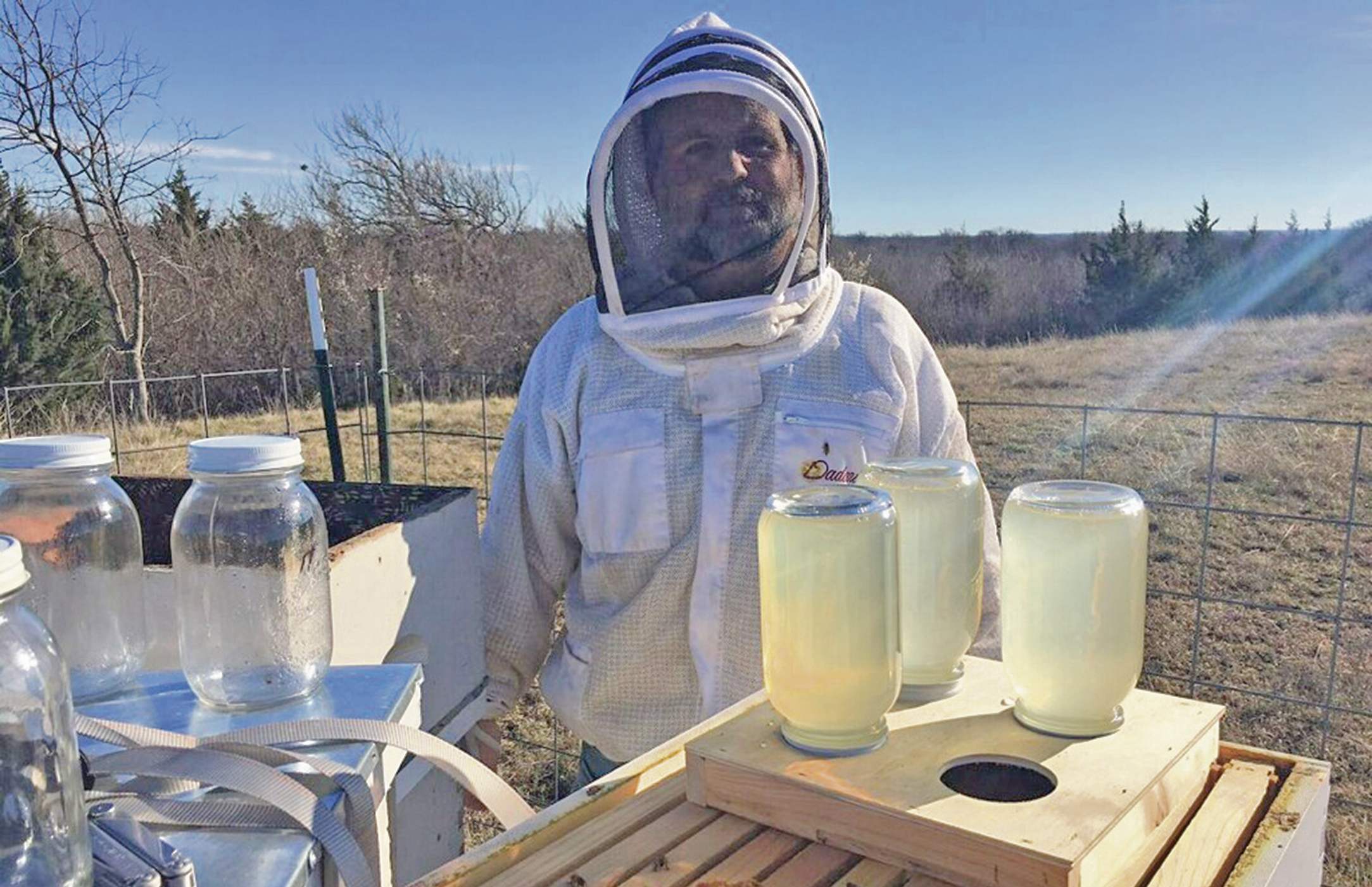 Master beekeeper seminar to be held in Graham | The Graham Leader