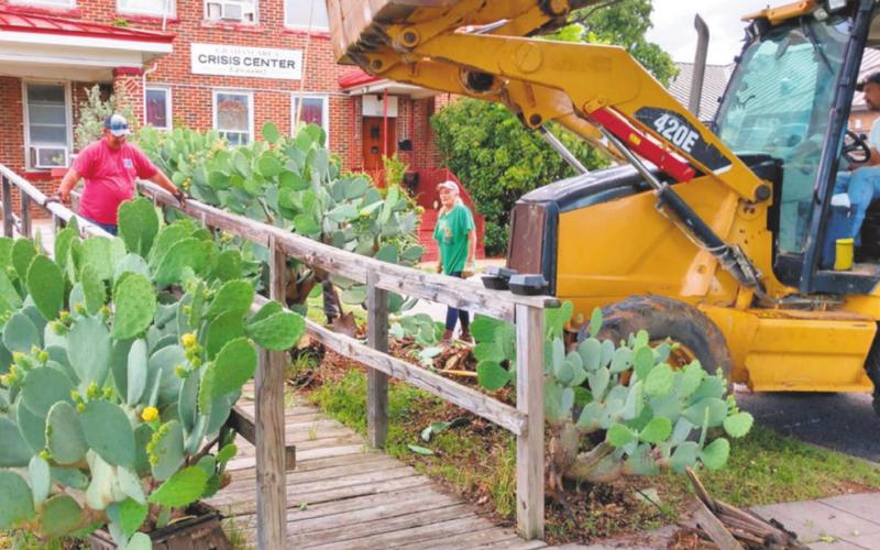 Cactus plants were removed from the front of the Graham Community Crisis Center by members of High Ridge Church recently. Volunteers edged the side walk, trimmed trees and reworked flower beds in front of the building. Contributed photo from Cathy Partridge