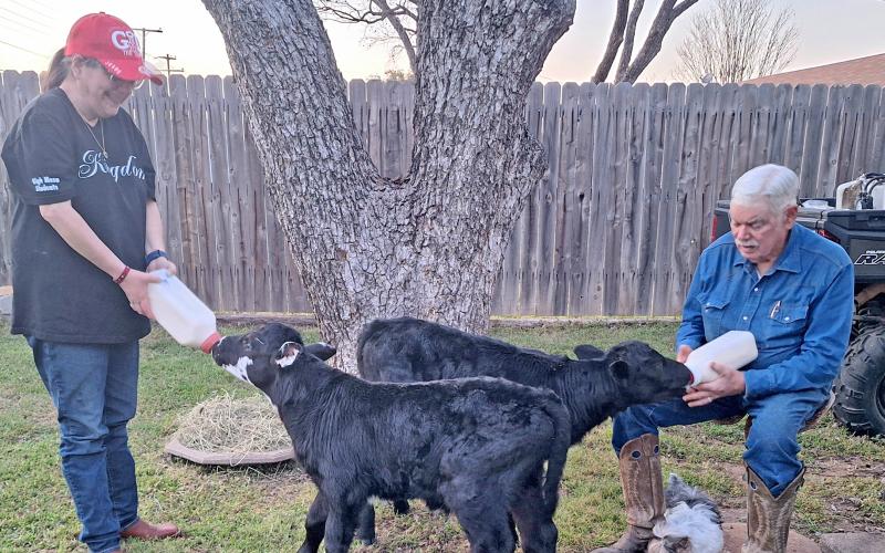 (CARLOTTA LANGFORD | CONTRIBUTED PHOTO) Cynthia and Robert Langford feed cows at their new home in Graham. After Robert married Cynthia’s mother Carlotta, Langford made sure that all three were united as a family.