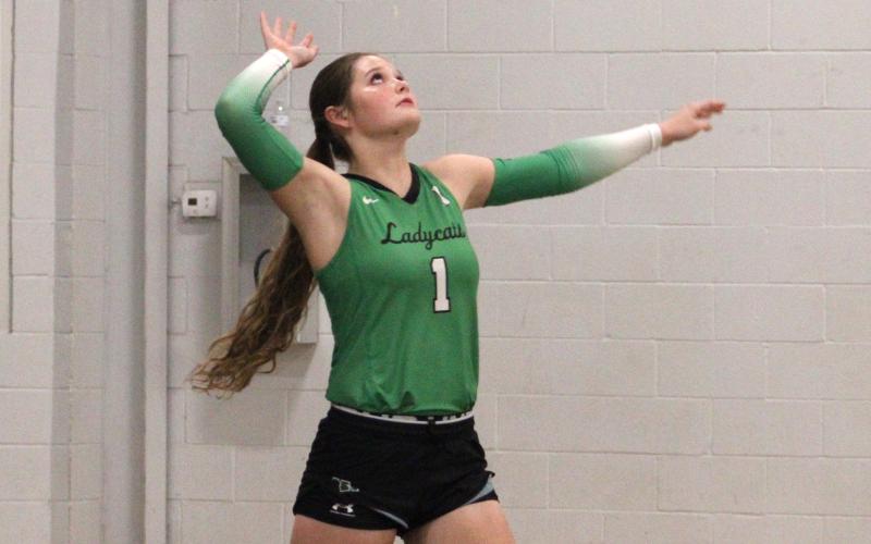 (ALEX HAVARDANSKY | THE GRAHAM LEADER) Camren Mallory throws the ball up for a serve in one of the Ladycats matches. Mallory had two aces in the Ladycats win over Bryson which took place Saturday, Oct. 4.