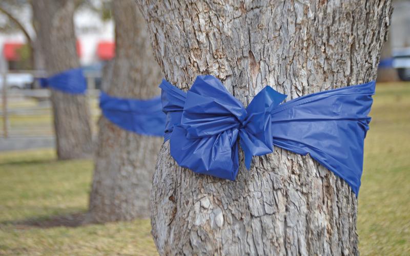 (ARCHIVE PHOTO | THE GRAHAM LEADER) Blue ribbons tied around trees at the Young County Courthouse in 2022 for Child Abuse Prevention and Awareness Month. Ribbons will be placed by Virginia’s House in Graham this week to raise awareness of child abuse.