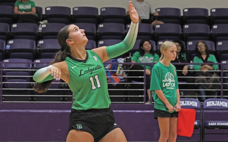 (ALEX HAVARDANSKY | THE GRAHAM LEADER) Emma Hawkins throws the ball up in the air for a serve in one of the Ladycats tournaments. Hawkins was a first team all district player for Newcastle and also an academic all-district nominee. 