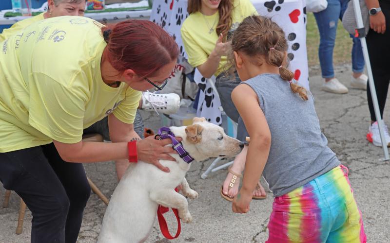 (THOMAS WALLNER | THE GRAHAM LEADER) The Humane Society of Young County hosted an adoption and awareness event Friday, March 28 in partnership with Quality Carpets. Shown above is a visitor handing a treat to the dog ‘Strawberry Shortcake,’ who was adopted during the event.