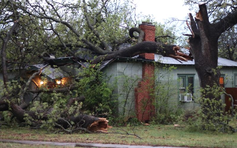 (THOMAS WALLNER | THE GRAHAM LEADER) A fallen tree on top of a house at 822 Oak St. in Graham. Graham received 71 mph winds the morning of Thursday, April 3 which resulted in damage across the city.