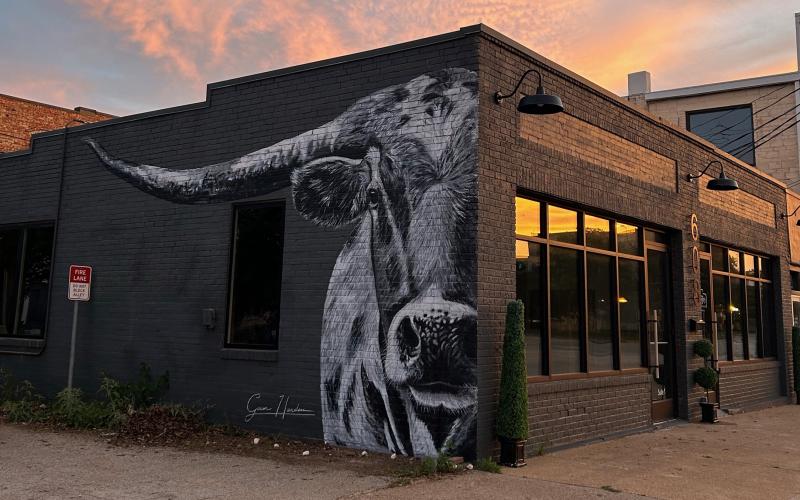 (GAVEN HENDERSON | CONTRIBUTED PHOTO) A Steer mural painted by Gaven Henderson at 608 Third Street in Graham. The mural was the first completed by the local artist who has now created a business from his artwork.
