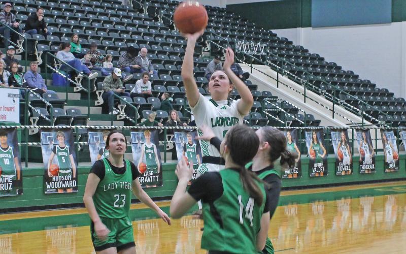 (ALEX KIELAR | BRECKENRIDGE AMERICAN) Kenzie King lines up a shot Tuesday, Feb. 18 at the free throw line. The Ladycats achieved another victory Tuesday and moved to the regional finals Friday, Feb. 21.