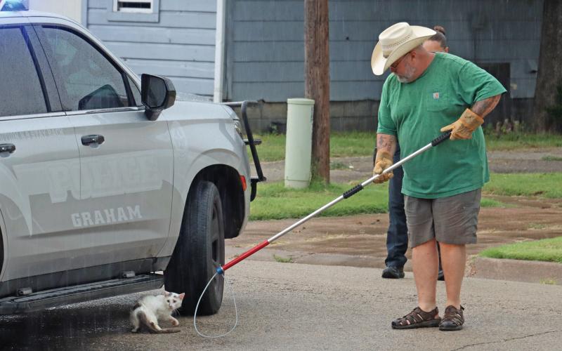 (THOMAS WALLNER | THE GRAHAM LEADER) Animal Control Officer Mike Watts picks up a cat at Second and Tennessee Street. The city of Graham temporarily amended its ordinance regarding a three-day hold of feral cats at the Humane Society of Young County. 