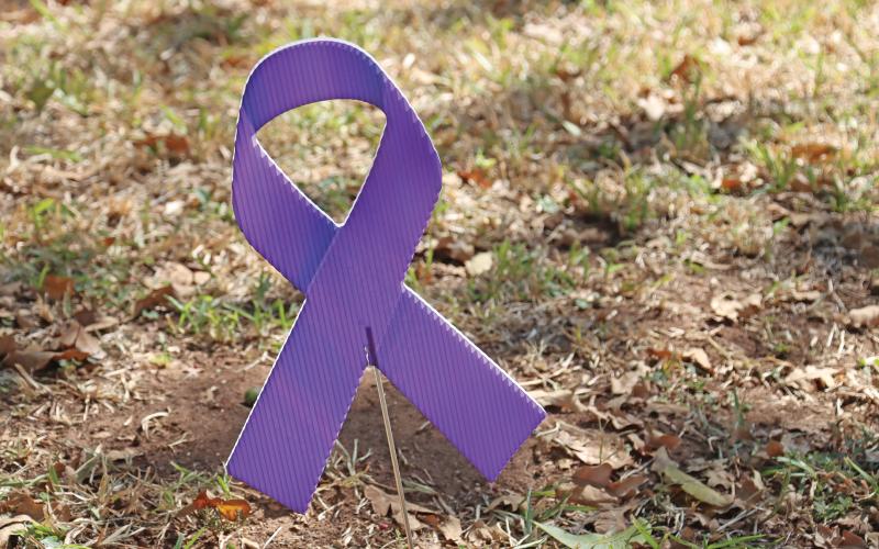 (ARCHIVE PHOTO | THE GRAHAM LEADER) October is Domestic Violence Awareness Month and local organizations will be raising awareness with a unity event from 1-2 p.m. Friday, Oct. 17.