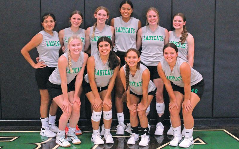 (ARCHIVE PHOTO | THE GRAHAM LEADER) Volleyball season has ended and multiple Newcastle Ladycats brought home All-District honors. The Ladycats took home Overall MVP, Offensive MVP and Defensive MVP while a host of others were named to All-District teams for their performances on the court this season.