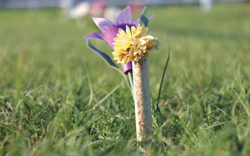 (THOMAS WALLNER | THE GRAHAM LEADER) A pvc pipe and flower mark a potential unmarked grave found by researchers from Texas Tech University at the Oak Grove Colored - William P. Johnston Cemetery. A ground penetrating radar survey was recently completed and found 47 possible unmarked graves.