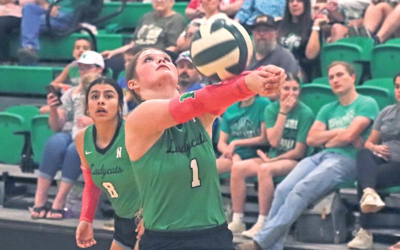 (ARCHIVE PHOTO | THE GRAHAM LEADER) Newcastle’s Camren Mallory was named District 11-1A Setter of the Year for her 115 assists during district play. She was one of multiple Ladycats to earn postseason recognition.
