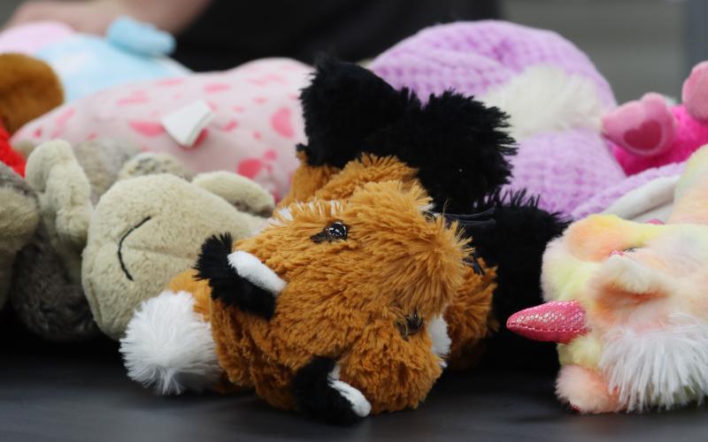 (THOMAS WALLNER | THE GRAHAM LEADER) Stuffed animals line a table at the Young County Annex where they were bundled with 153 blankets and goody bags for first responders. The bundles will be given to children in crisis by first responders.