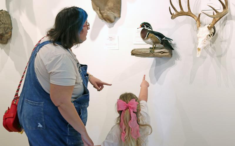 (THOMAS WALLNER | THE GRAHAM LEADER) A visitor points at an exhibit at the Old Post Office Museum and Art Center where a live taxidermy presentation was held Saturday, Jan. 3 at the Old Post Office Museum and Art Center. The Into the Wild Trophy Showcase will be on display through February.