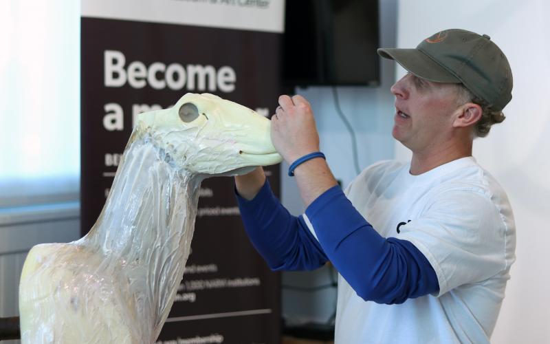 (THOMAS WALLNER | THE GRAHAM LEADER) Koby Andrews, with Clear Fork Taxidermy, gives a live taxidermy presentation Saturday, Jan. 3 at the Old Post Office Museum and Art Center during an opening reception for the Into the Wild Trophy Showcase.