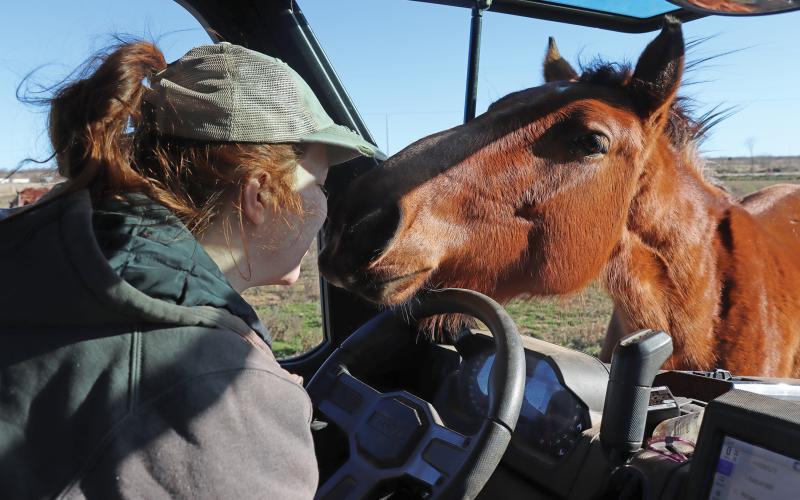 (THOMAS WALLNER | THE GRAHAM LEADER) Jessica Moreland, who operates the nonprofit Red Orchard Animal Rescue Foundation in Loving, reaches out to kiss one of the horses on the property. Moreland is seeking the support of the community after a fire broke out Monday, Dec. 30 at the rescue.