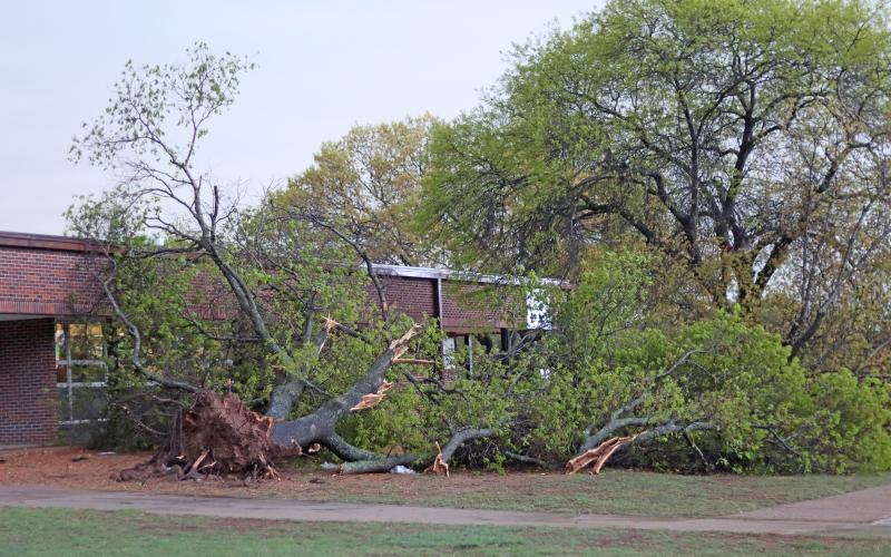 (THOMAS WALLNER | THE GRAHAM LEADER) Uprooted trees in front of Woodland Elementary School that were impacted by the early-morning storm that blew through the area.