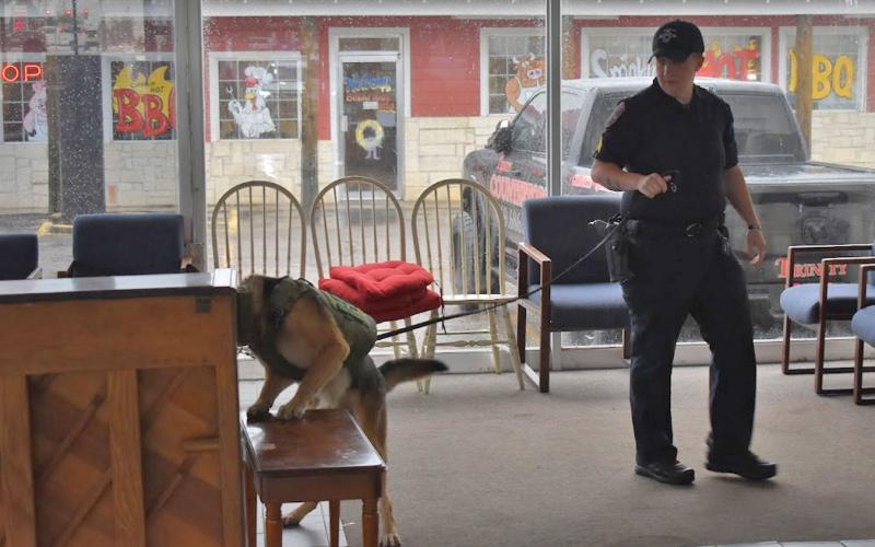 (HAILEY CALCOTE | CONTRIBUTED PHOTO) K-9 Sergeant Hailey Calcote and her partner Wolf will be participating as a team during the United States Police Canine Association (USPCA) Region 25 certification trials which will be held from April 7-9 at the Young County Arena and various other Graham locations.