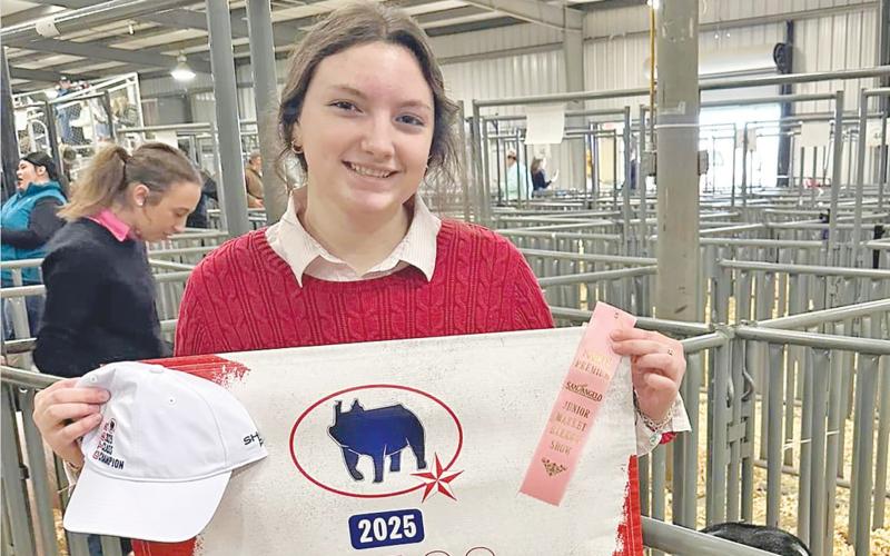 (GRAHAM FFA | CONTRIBUTED PHOTO) Maddison Erwin of Graham FFA was named the Class 32 CTBR Champion for her fourth place Dark OPB in the Market Barrows contest at the San Angelo Stock Show & Rodeo. 