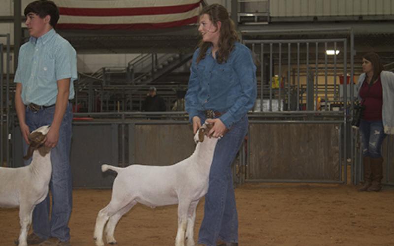 Becca Burgess (center), of Lone Star 4-H, smiles after winning first place with her goat in class one of lightweight goats at the Young County Junior Livestock Show Thursday evening at the Young County Arena. Burgess also won Reserve Champion in the lightweight goat division.