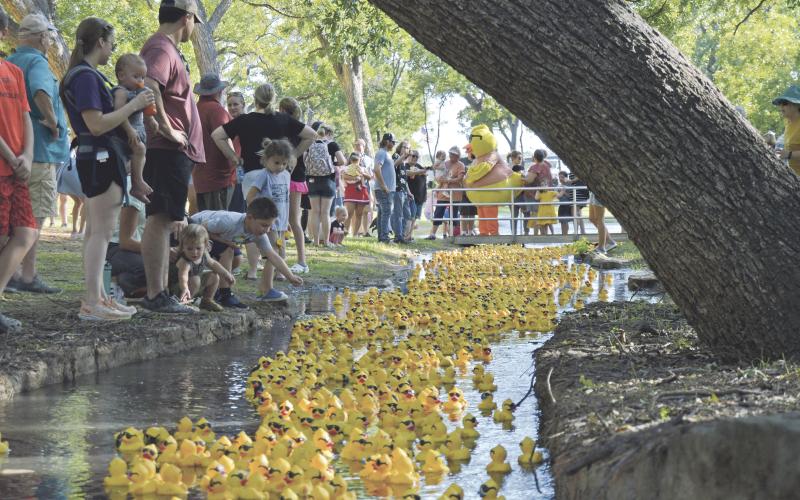 (THOMAS WALLNER | THE GRAHAM LEADER) Over 8,000 rubber ducks rush down the creek at Fireman’s Park as visitors to the Rotary Club of Graham Duck Derby watch. The rubber duck race is the annual fundraiser for the Rotary Club of Graham to benefit nonprofits and causes support by the organization. 