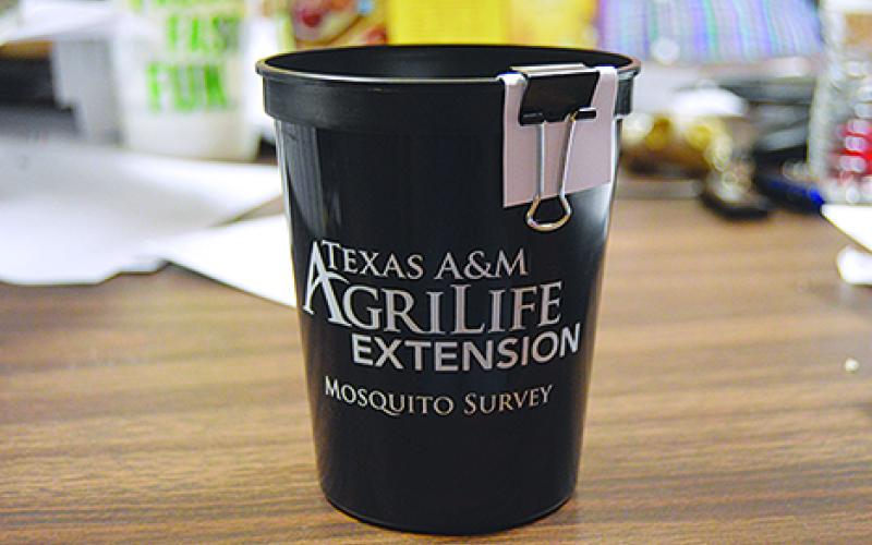 A Texas A&M AgriLife Extension mosquito survey cup used by counties throughout the state as a testing tool for possible carriers of the Zika virus. The cup will be placed in five Young County residences and sent in weekly for testing. 