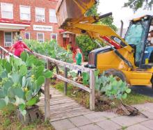 Cactus plants were removed from the front of the Graham Community Crisis Center by members of High Ridge Church recently. Volunteers edged the side walk, trimmed trees and reworked flower beds in front of the building. Contributed photo from Cathy Partridge