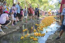 (FILE PHOTO | THE GRAHAM LEADER) Ducks travel down the pond in Firemen’s Park to Salt Creek during the 2022 Rotary Club of Graham Duck Derby. The event this year will be held Saturday, Sept. 16.