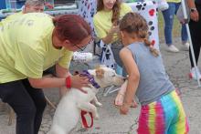 (THOMAS WALLNER | THE GRAHAM LEADER) The Humane Society of Young County hosted an adoption and awareness event Friday, March 28 in partnership with Quality Carpets. Shown above is a visitor handing a treat to the dog ‘Strawberry Shortcake,’ who was adopted during the event.