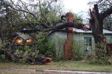 (THOMAS WALLNER | THE GRAHAM LEADER) A fallen tree on top of a house at 822 Oak St. in Graham. Graham received 71 mph winds the morning of Thursday, April 3 which resulted in damage across the city.