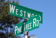 (THOMAS WALLNER | THE GRAHAM LEADER) The intersection of Pine Tree Road and Westwood Drive in Graham, near where a wild hog has been sighted in a residential area. The city is working with the Texas Parks and Wildlife Department to find and remove the animal.