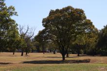 (THOMAS WALLNER | THE GRAHAM LEADER) A parcel of land on Lincoln Street owned by the city of Graham where they are considering placing a park or recreational area. The Graham Parks Department Board of Directors have tasked the city and the engineering firm Jacob & Martin with providing a cost for swings and basketball or pickleball courts.